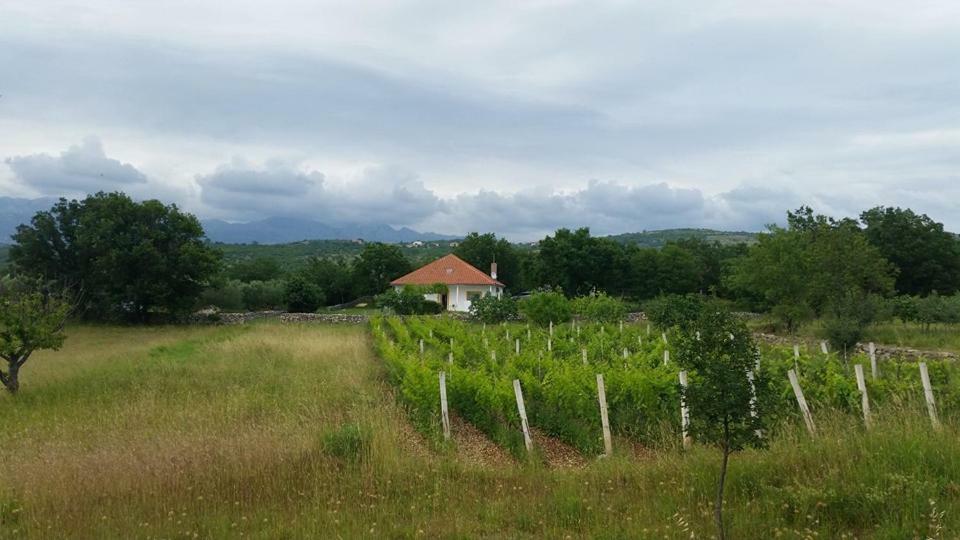 Holiday House Tunjarice Obrovac Exterior photo